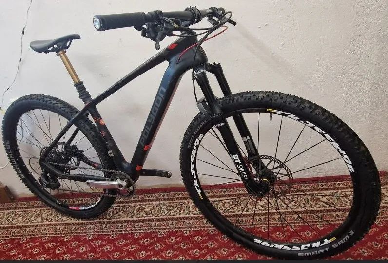 Polygon Cozmic Fox Transfer Cashima + DT Swiss + XTR + 1×12 Eagle 