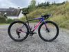Specialized Crux