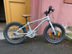 Early Rider Belter 16