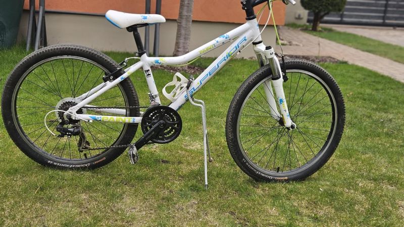 Dětské/juniorské kolo Superior Paint 24"