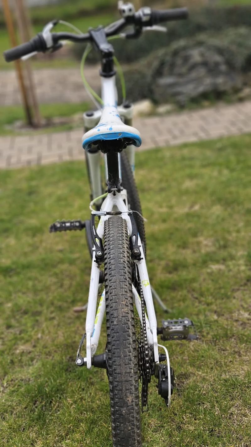 Dětské/juniorské kolo Superior Paint 24"