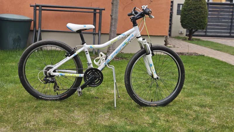 Dětské/juniorské kolo Superior Paint 24"