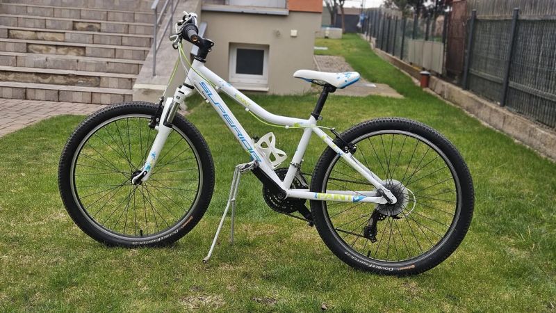 Dětské/juniorské kolo Superior Paint 24"