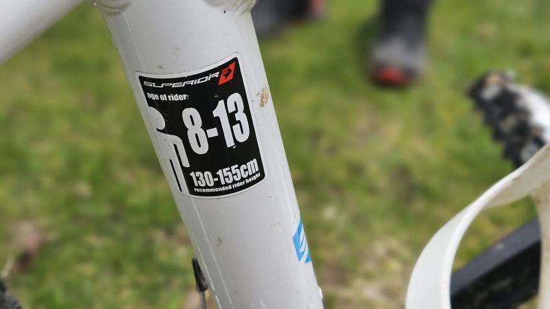 Dětské/juniorské kolo Superior Paint 24"