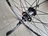 Kola Ritchey WCS 26"
