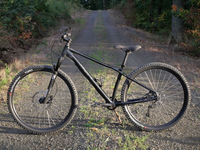 GT Avalanche Expert 2019