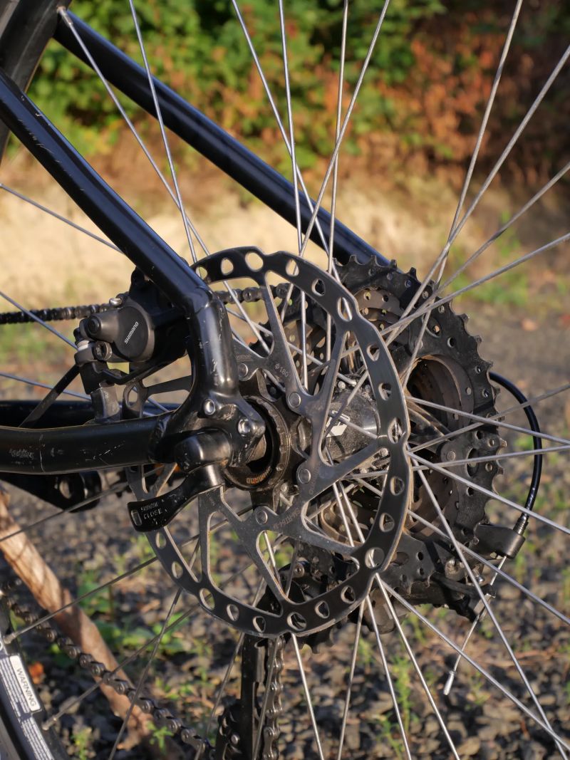 GT Avalanche Expert 2019