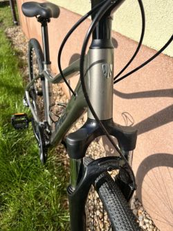Trek Dual Sport 1