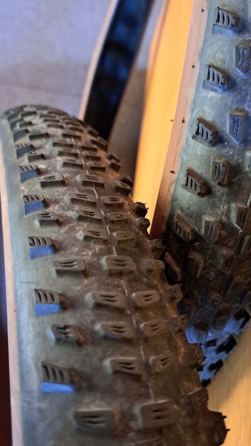 Schwalbe Racing Ralph/Racing Ray