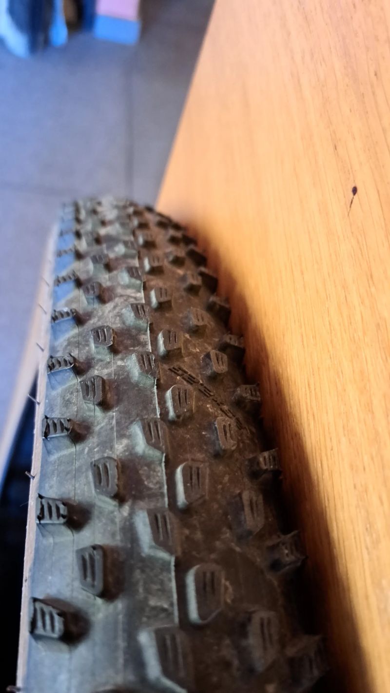 Schwalbe Racing Ralph/Racing Ray