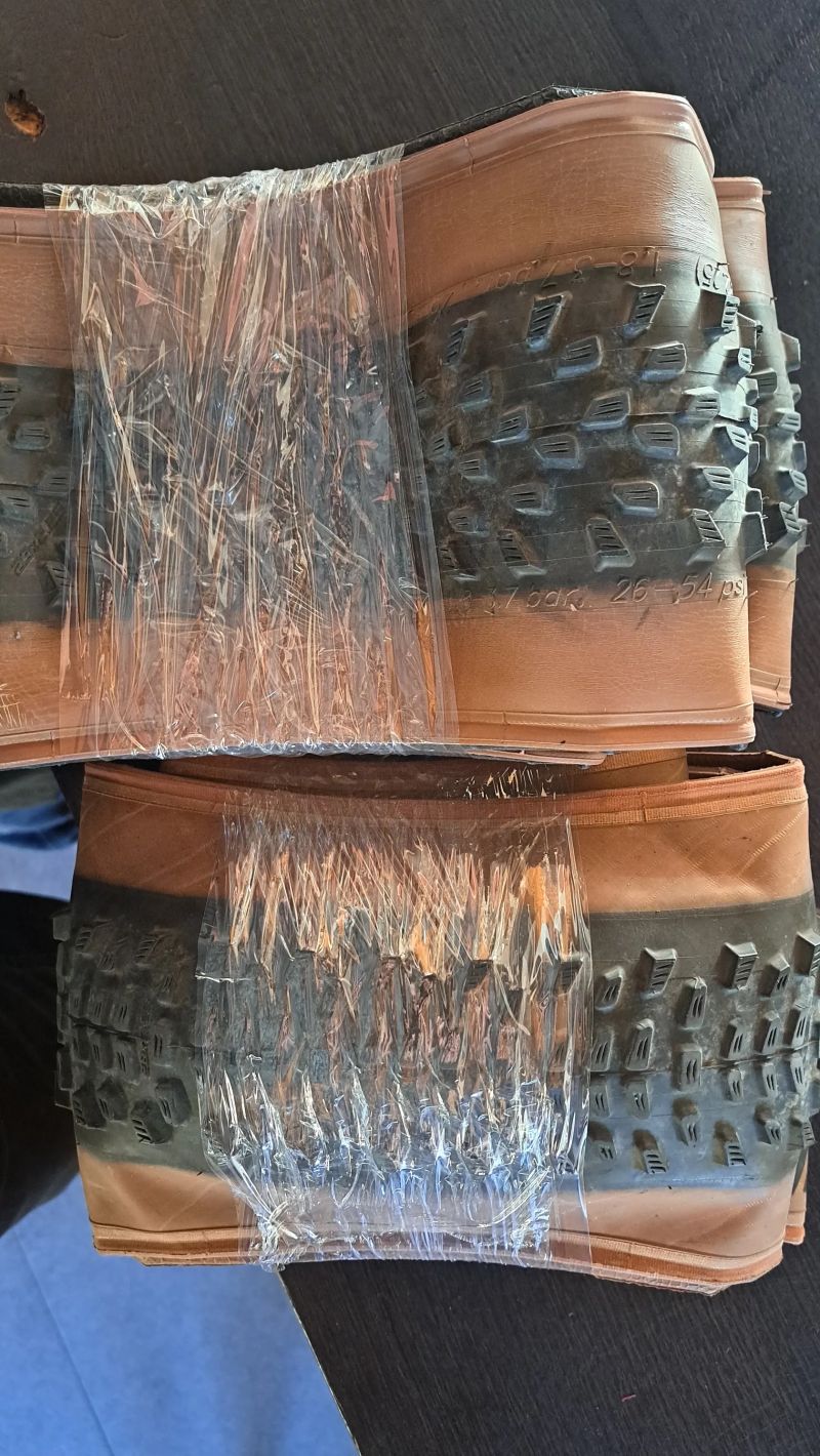 Schwalbe Racing Ralph/Racing Ray