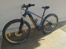 Bergamont E REVOX SPORT