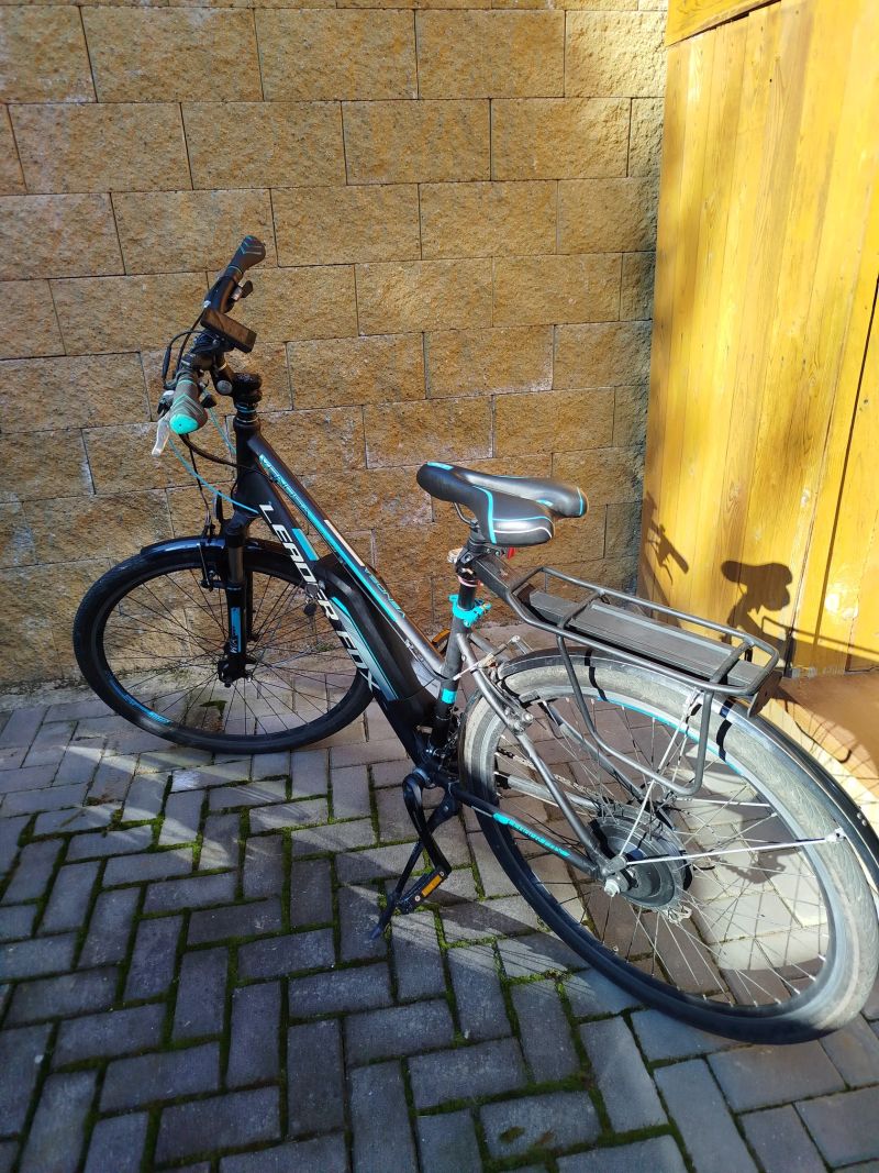 Leader Fox Venosa Lady