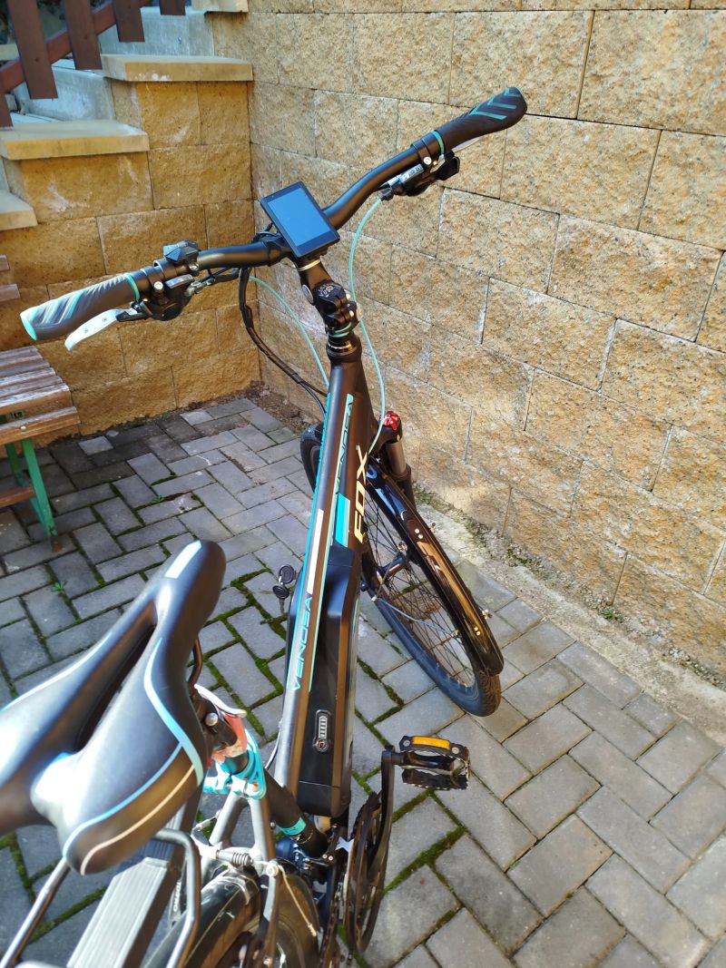 Leader Fox Venosa Lady