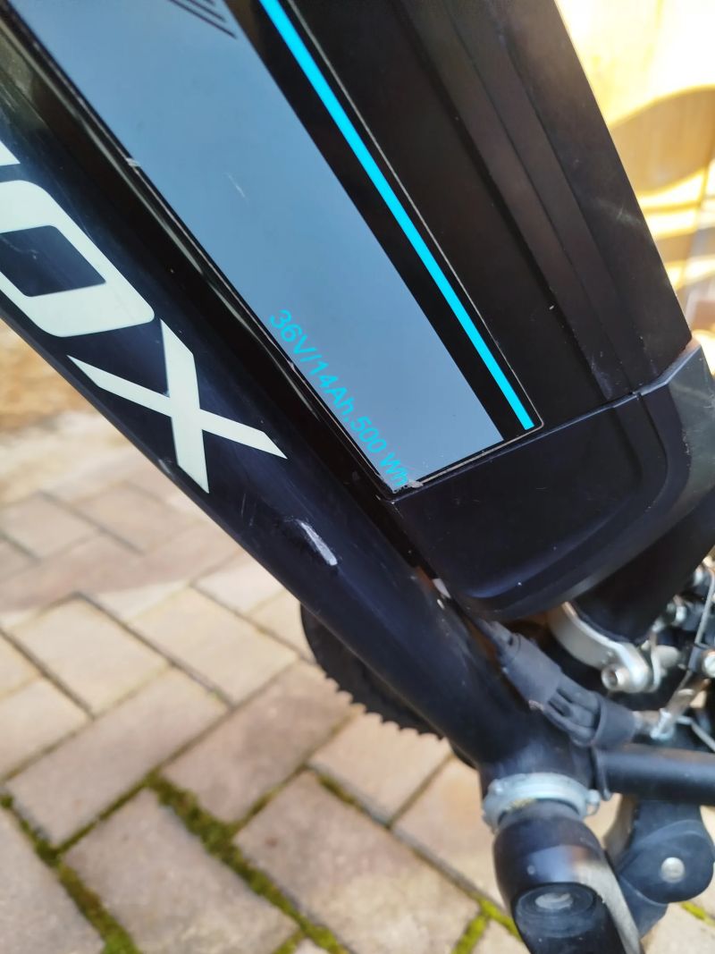 Leader Fox Venosa Lady