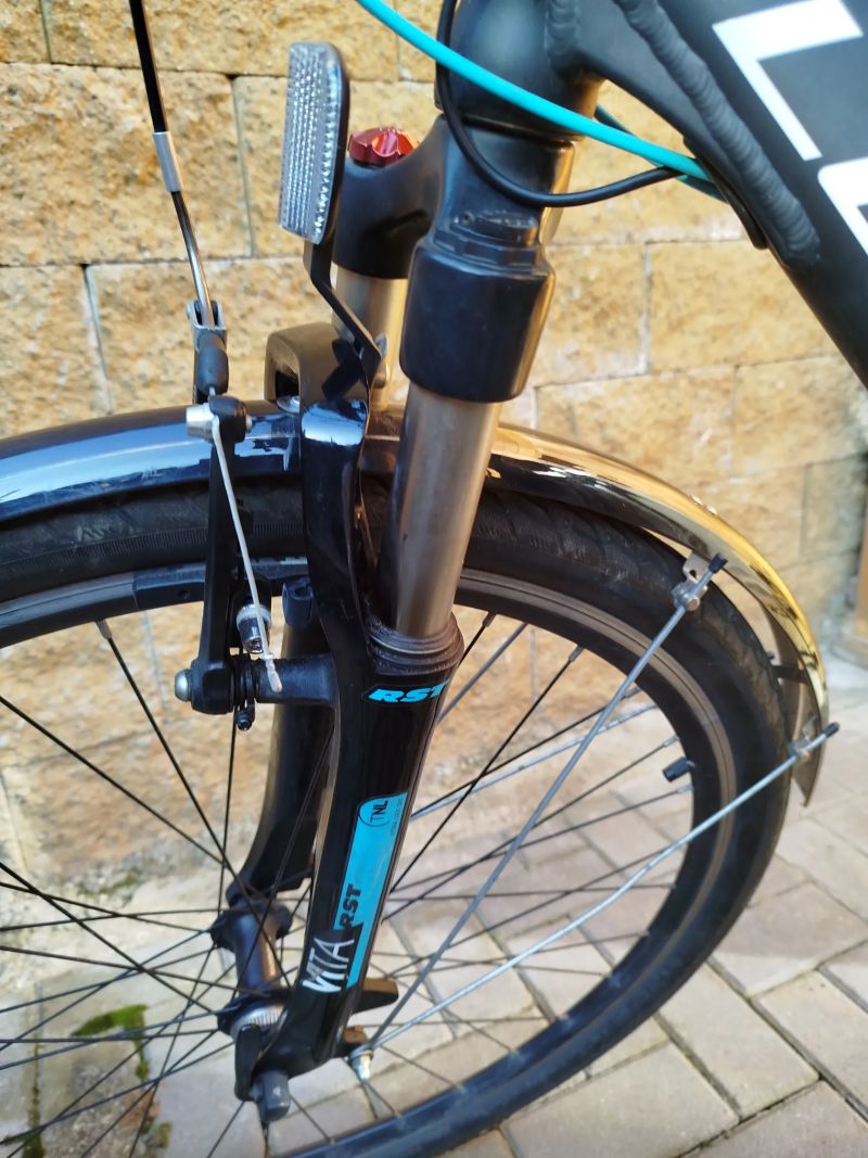 Leader Fox Venosa Lady