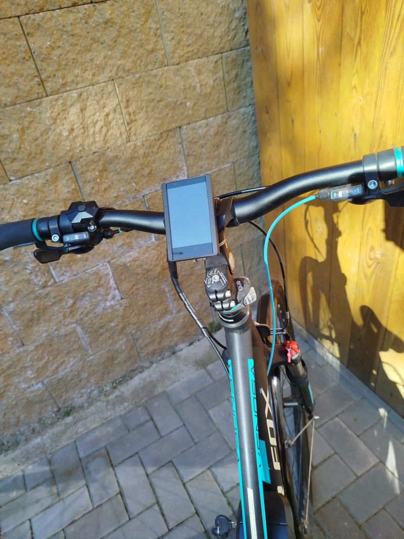 Leader Fox Venosa Lady