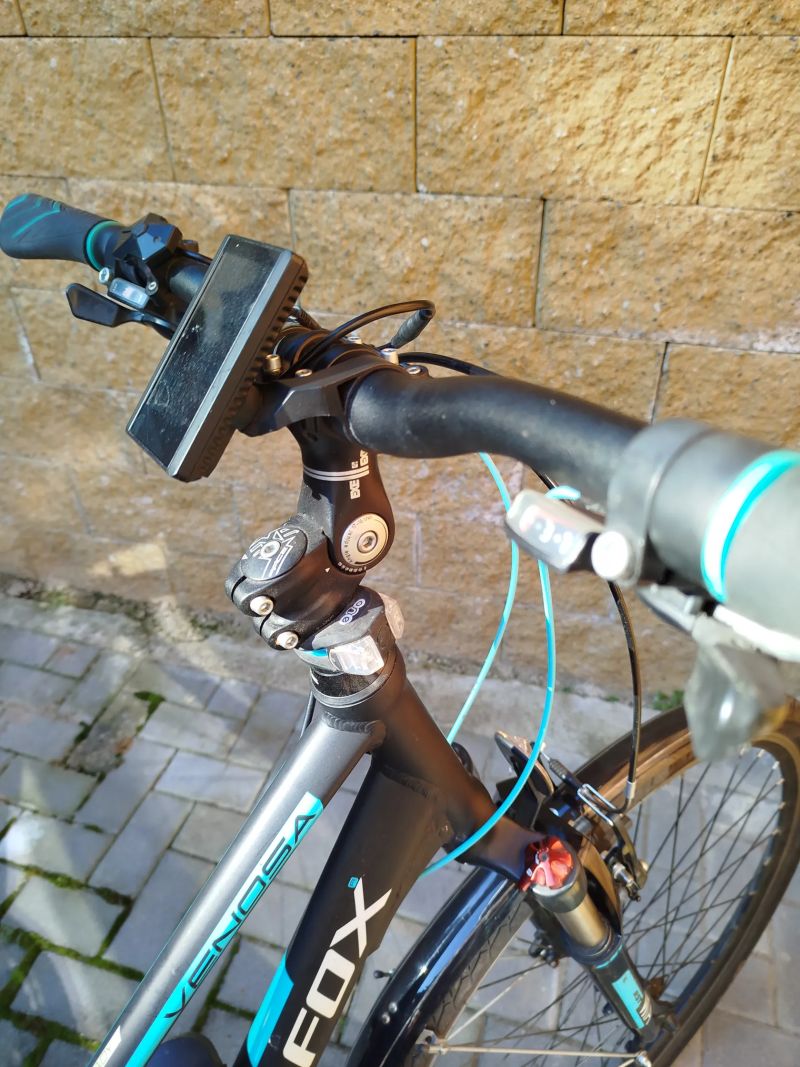 Leader Fox Venosa Lady