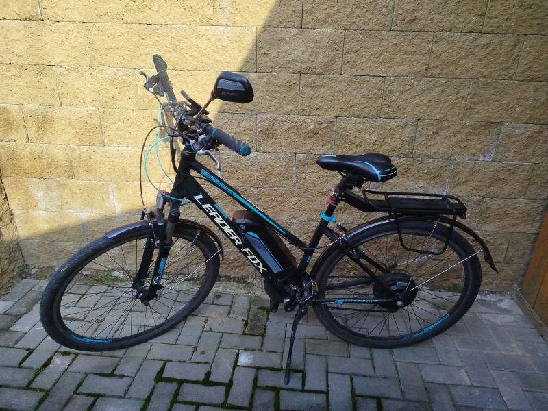 Leader Fox Venosa Lady