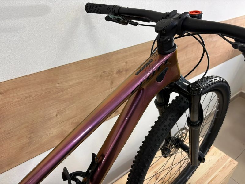 Scott Scale contessa