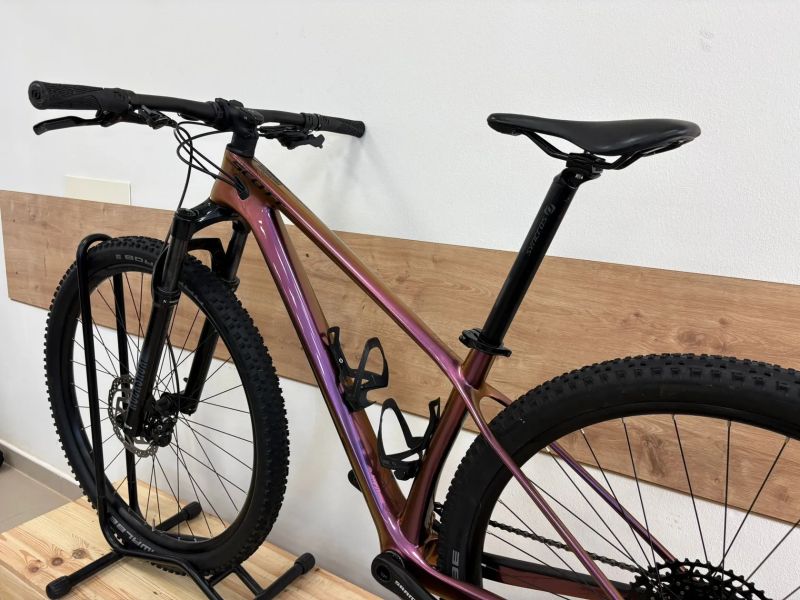 Scott Scale contessa