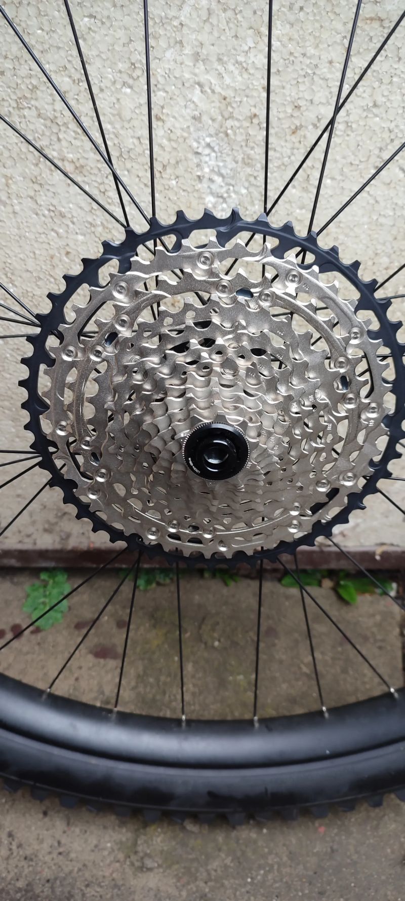 Zapletená kola Ibis 