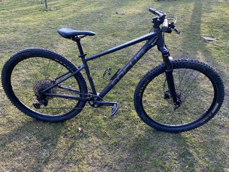 Focus Whistler vel.M