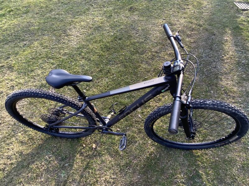 Focus Whistler vel.M