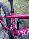 Specialized Riprock