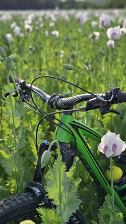 Specialized Stumpjumper FSR Men's Comp