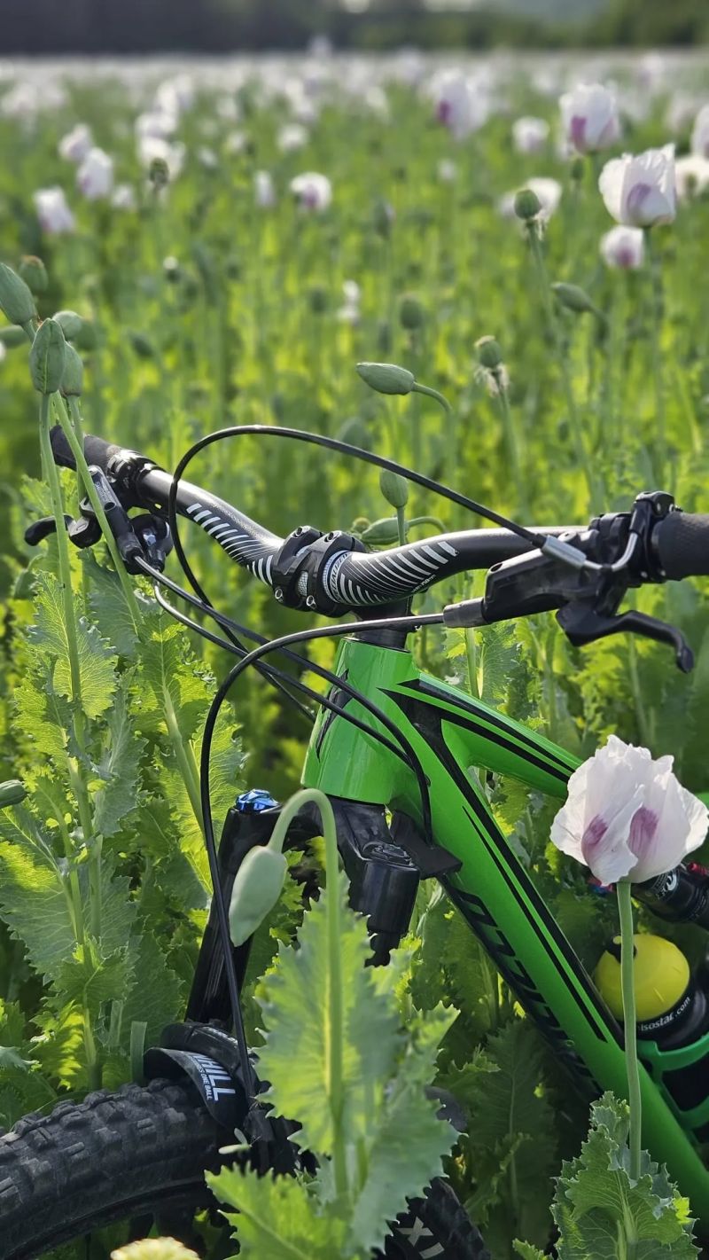 Specialized Stumpjumper FSR Men's Comp