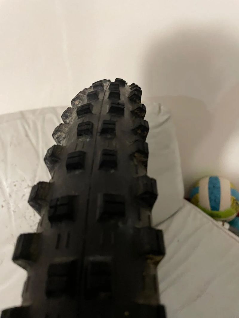 Maxxis Shorty 29x2,4'', Maxxgrip, 3C, DD