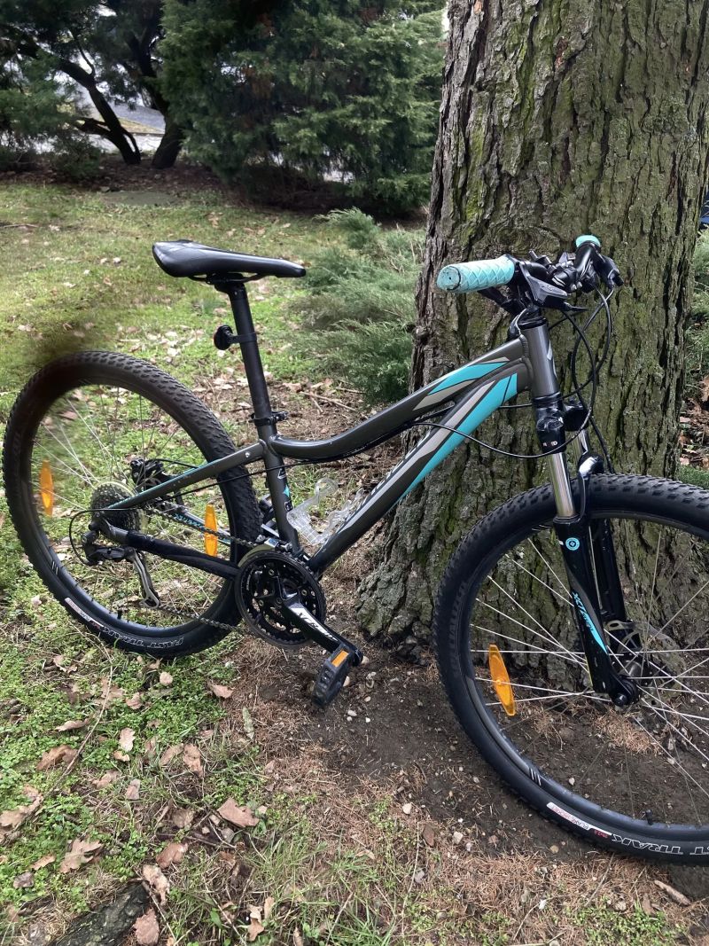 Specialized Myka