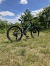 Trek Remedy 8