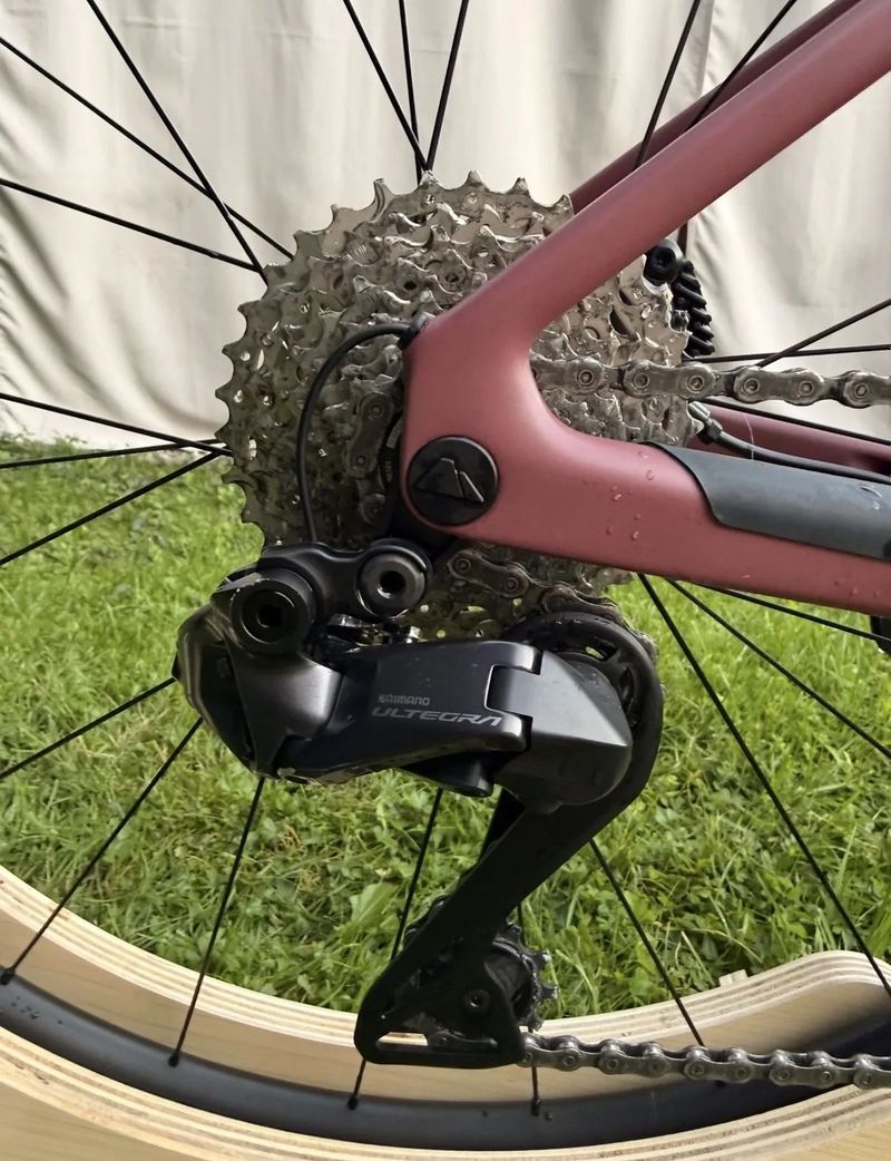 Canyon Endurance CF SLX 8 Di2