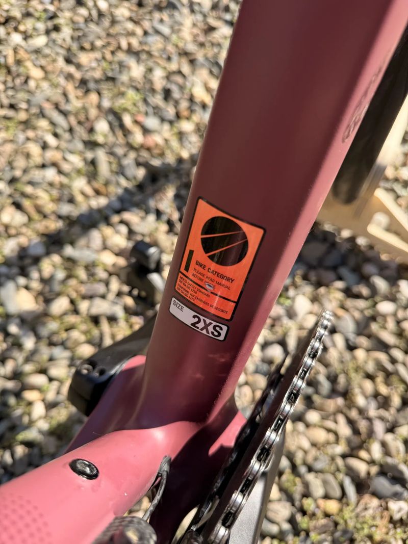 Canyon Endurance CF SLX 8 Di2