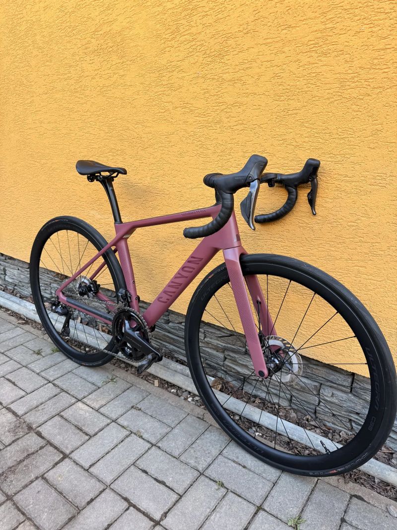 Canyon Endurance CF SLX 8 Di2