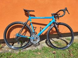 Apache Victorio World Champion