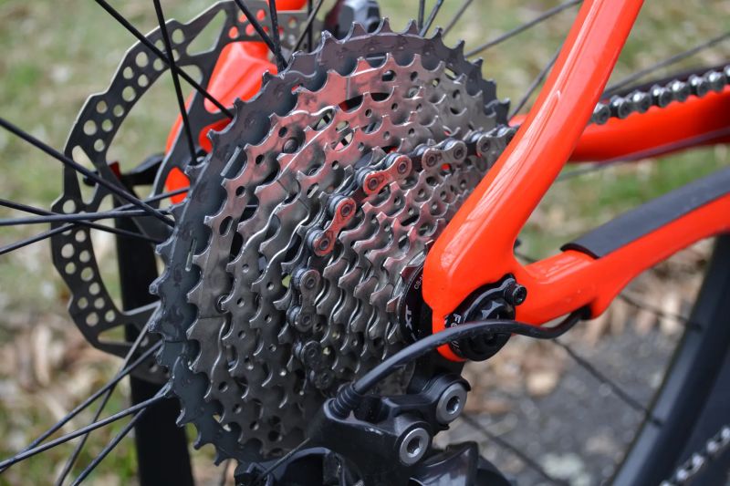 Focus Raven Evo Carbon 29" (L) Perfektní stav