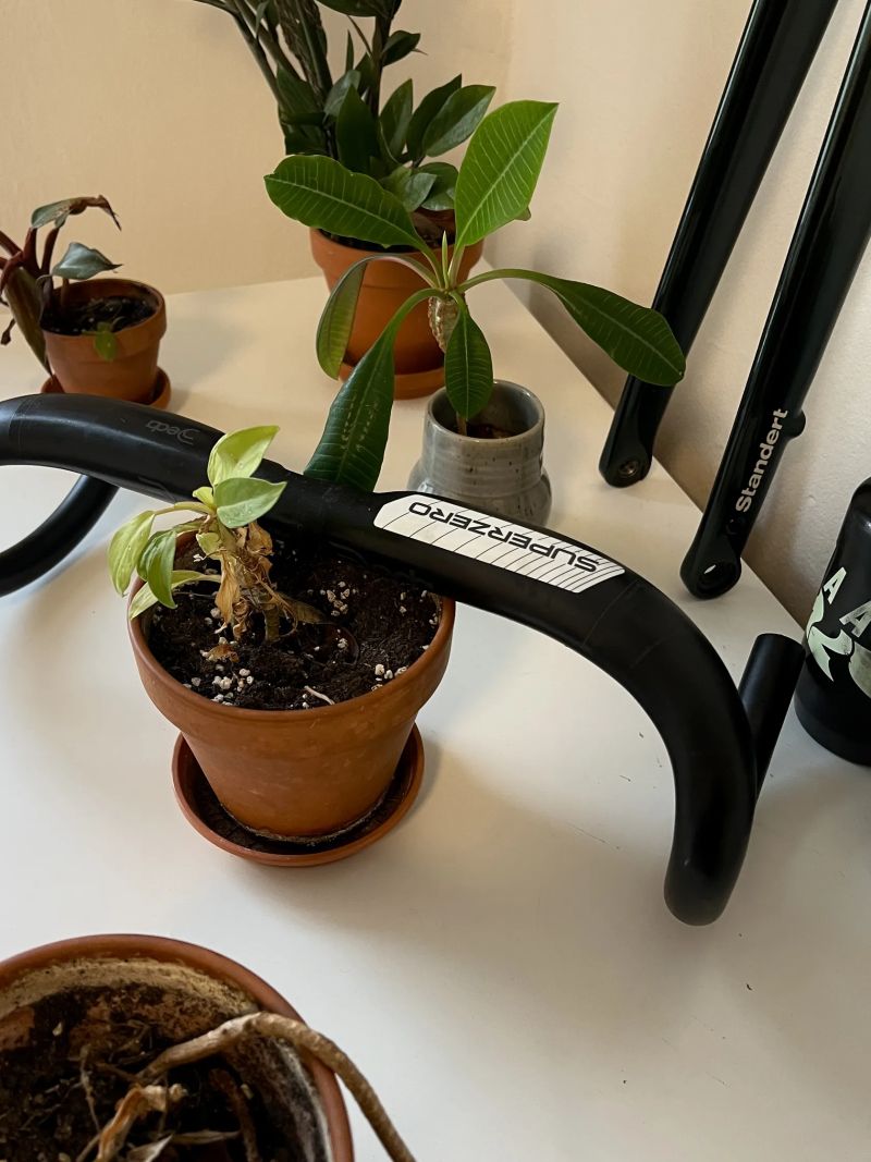 Řídítka Deda Superzero DCR