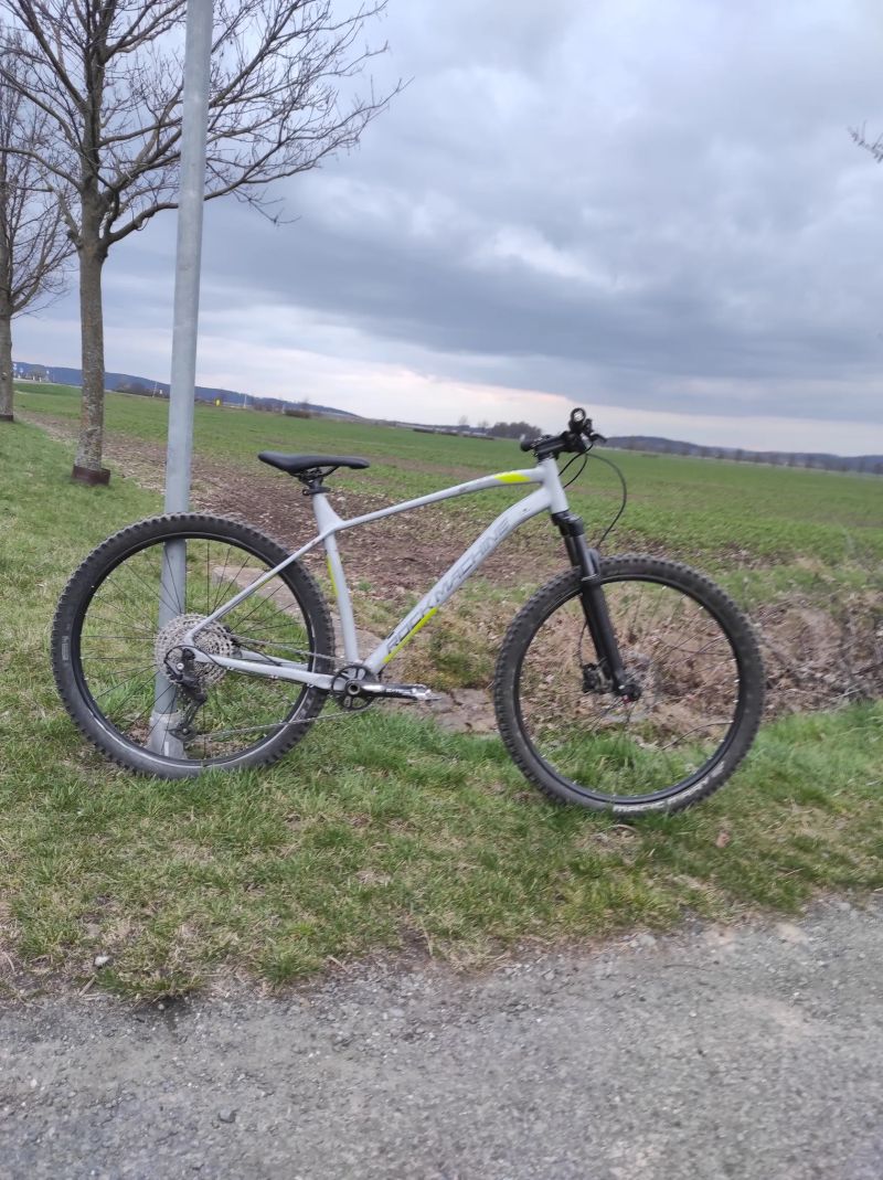 Rock Machine Torrent