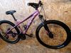 Juniorské kolo Bulls Feli, 27,5"