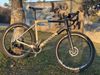 Canyon Grail CF SLX 8 AXS
