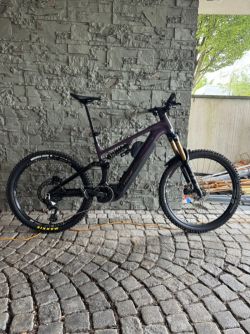 Focus Sam 6.9 Bosch 5 800wh vel. L