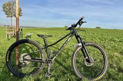 Norco Fluid ht 2 (27’5)