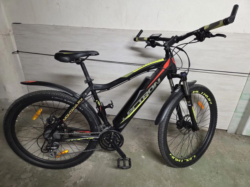 Lectron Montana RX 19"