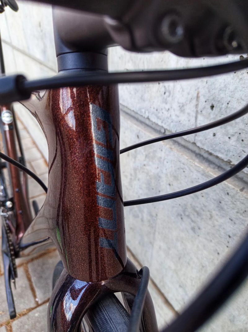 Giant TCR Advanced Disc 2 Bronz 