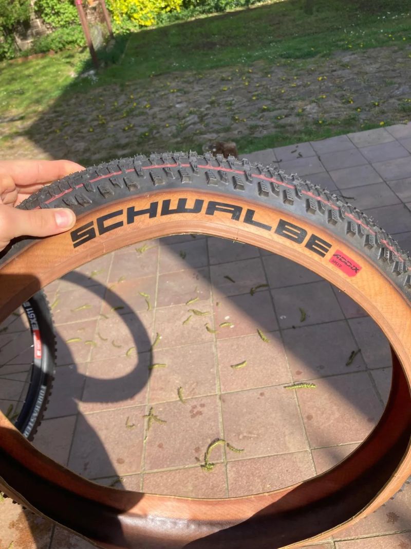 Prodám Schwalbe Racing Ralph 29x2,35" 