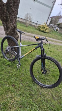 Qayron Spyro echtgold edicion