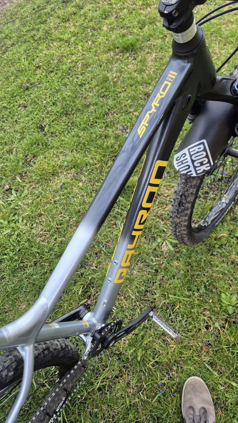 Qayron Spyro echtgold edicion